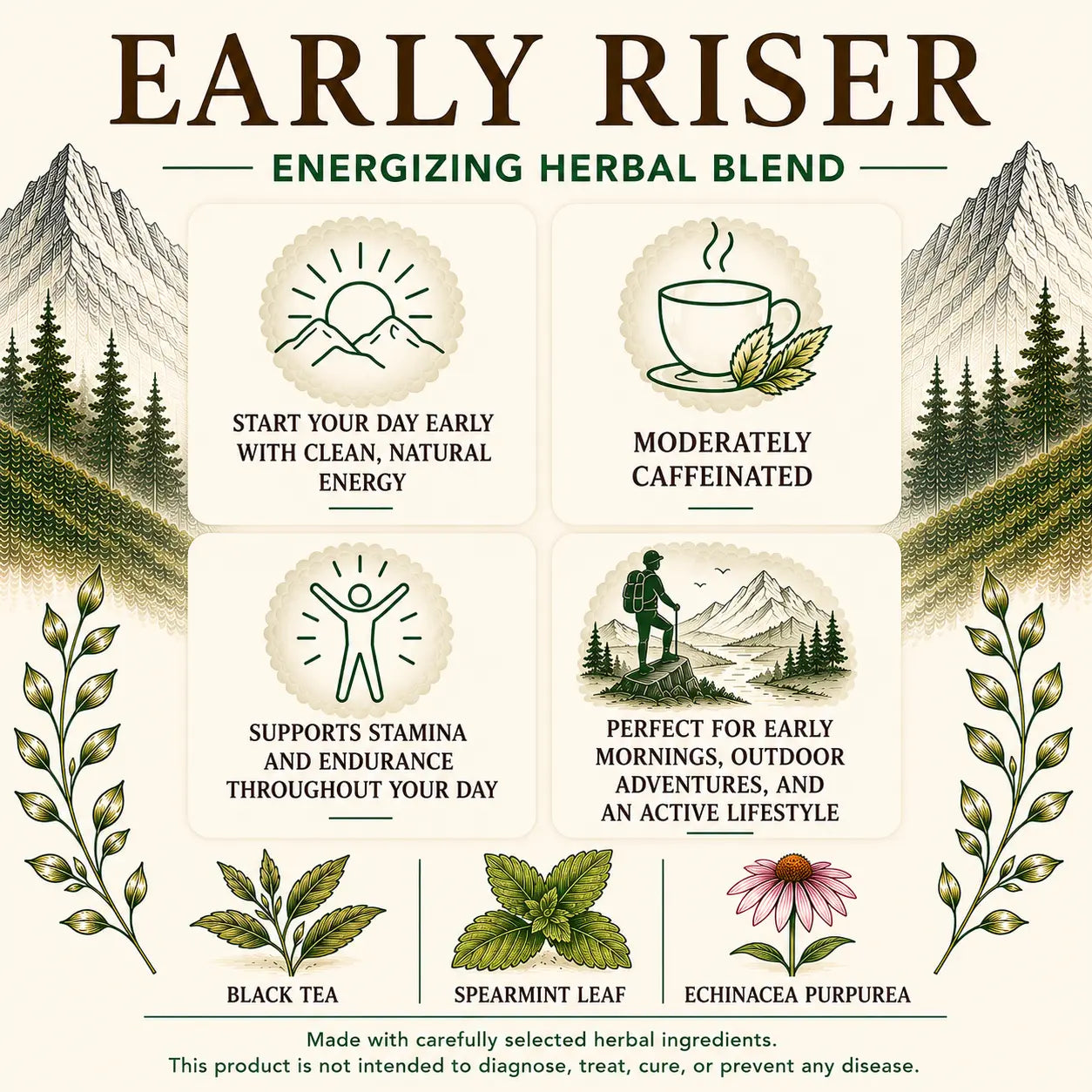 Live Wild Tea Early Riser benefits graphic highlighting clean morning energy, moderate caffeine, stamina support, and black tea, spearmint leaf, and echinacea purpurea ingredients.