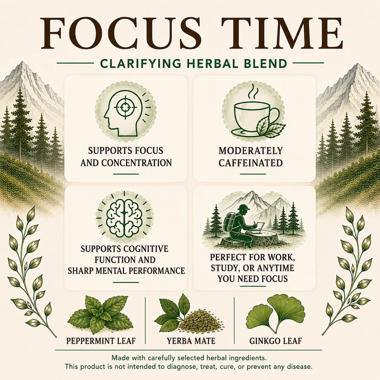 Live Wild Tea Focus Time benefits graphic highlighting improved focus and concentration, moderate caffeine, cognitive support, and peppermint, yerba mate, and ginkgo leaf ingredients.