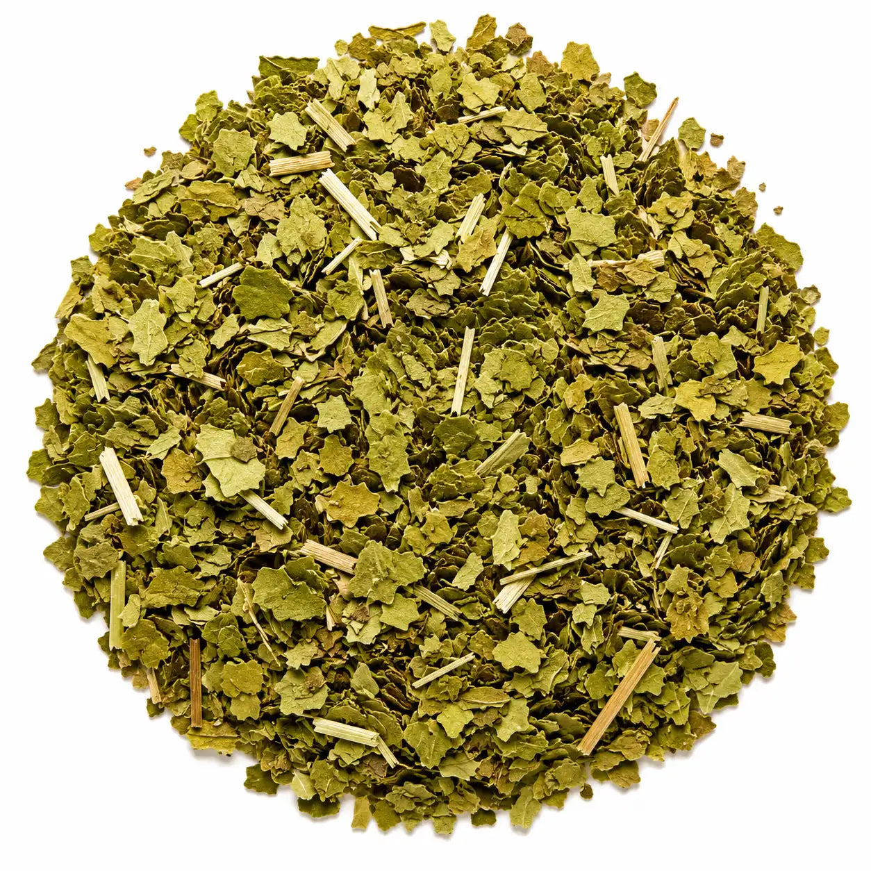 Close-up of Focus Time herbal tea featuring yerba mate, peppermint, and ginkgo on a white background. Moderately caffeinated herbal tea blend for natural focus, concentration, and mental clarity.